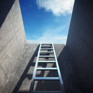 Echelle en aluminume